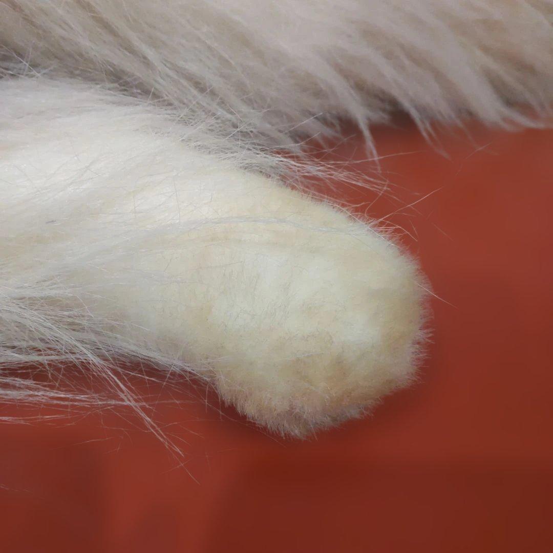 三英グレイスフル ペルシャ猫 日本製 アクリル 大型 ラスト - メルカリ