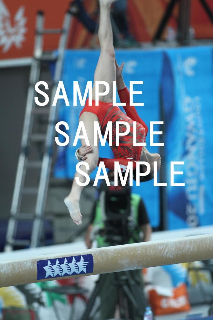 ☆9/30終売☆寺本明日香 画像集(2015～2019年) 約15,500枚