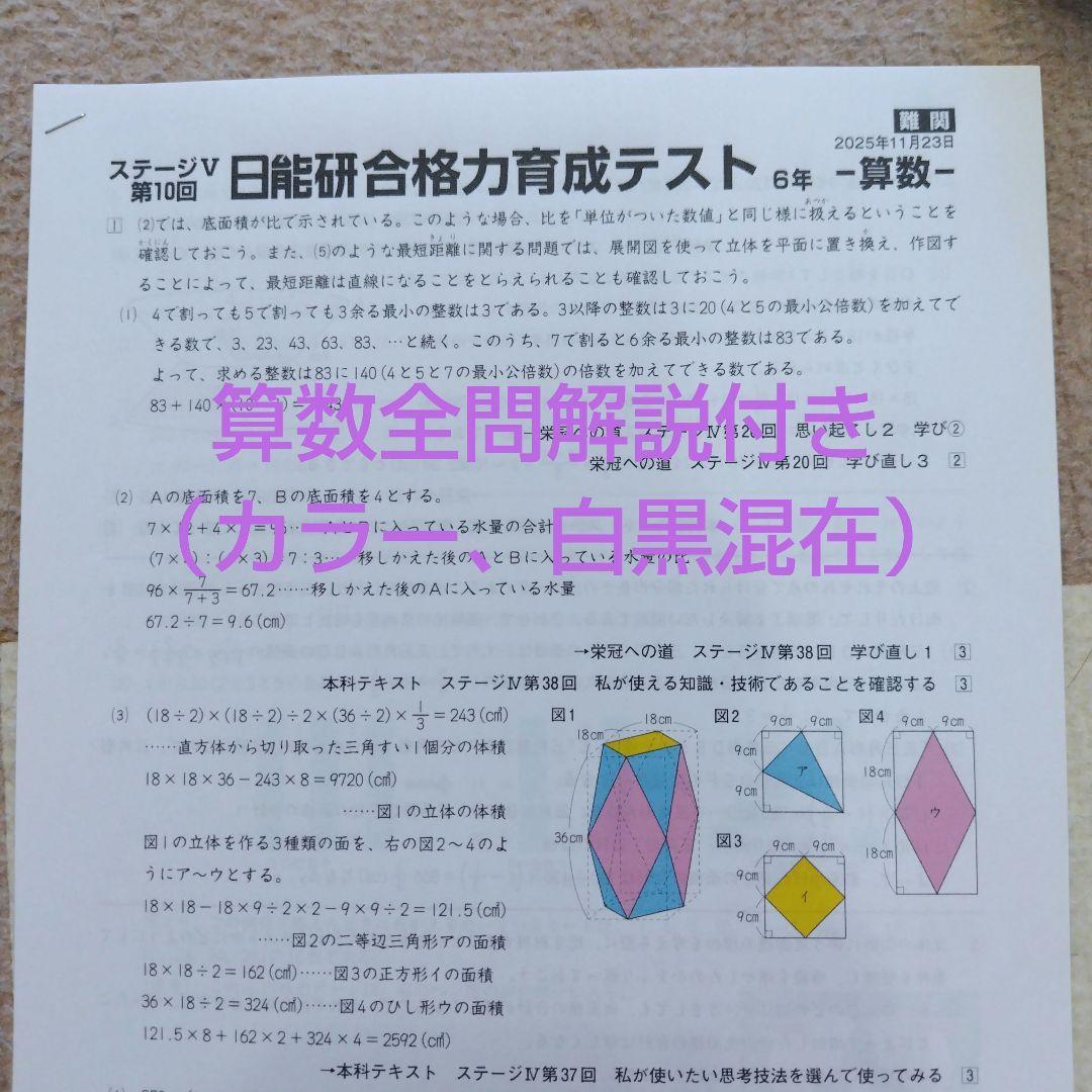 最新版】2025年日能研6年 後期 合格力育成テスト 合格力実践テスト