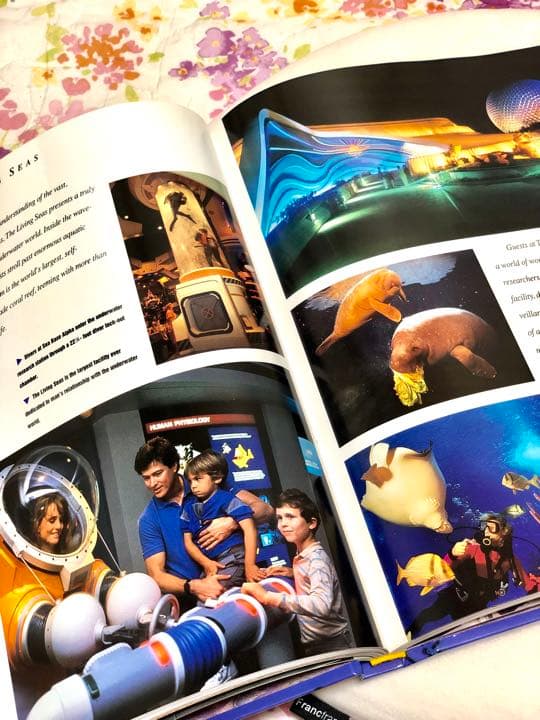 洋書 ウォルトディズニー ワールドリゾート 25周年 写真集 本