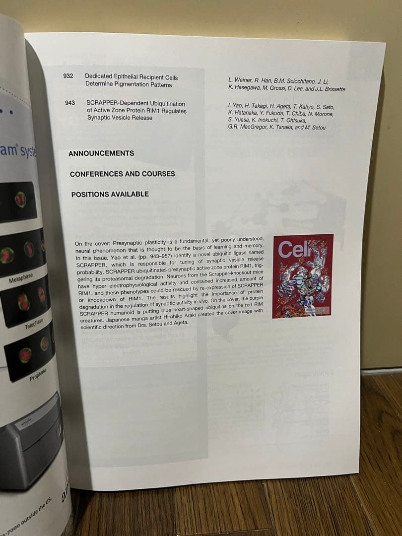 ♡ 荒木飛呂彦 表紙デザイン Cell セル スクラッパー ジョジョの奇妙な