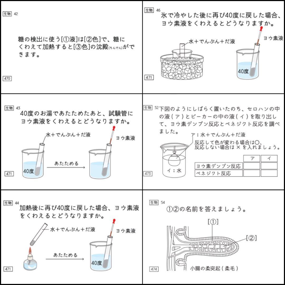 中学受験 暗記カード 理科 生物 サピックス 予習シリーズ コアプラス