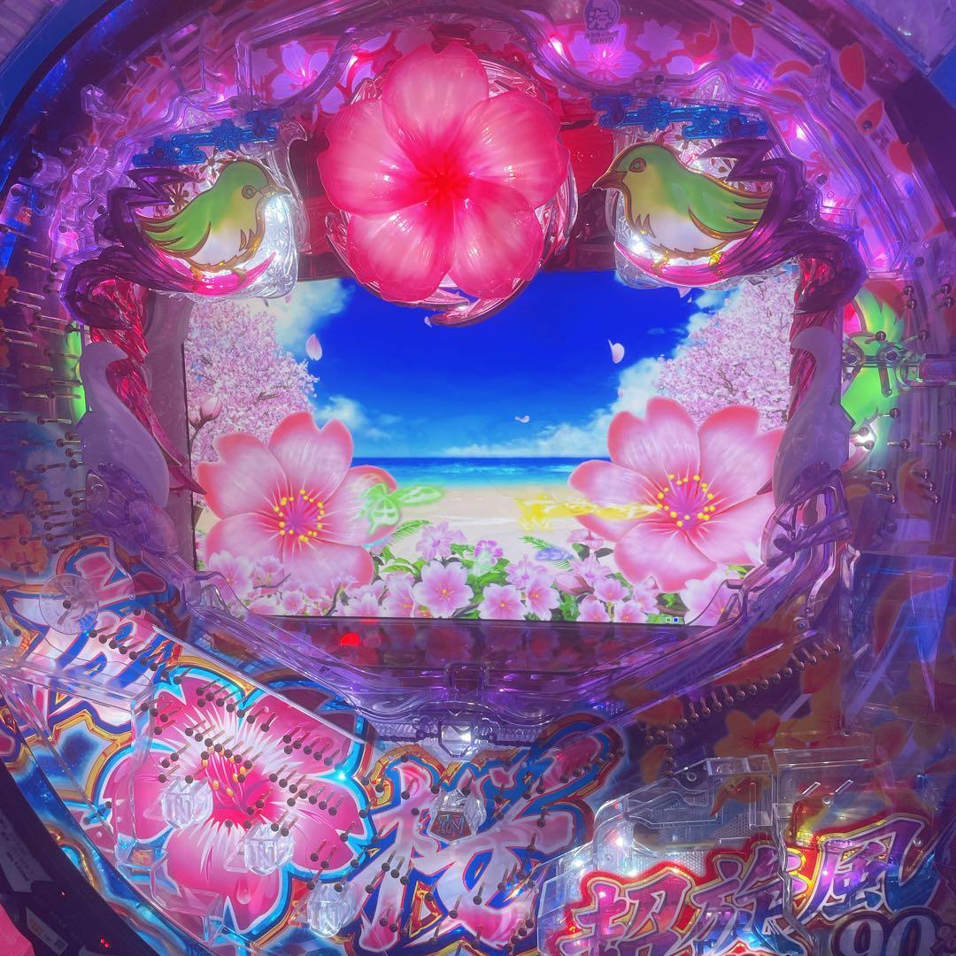 極美品】スーパー海物語 パチンコ実機 沖縄5 夜桜超旋風319 - メルカリ