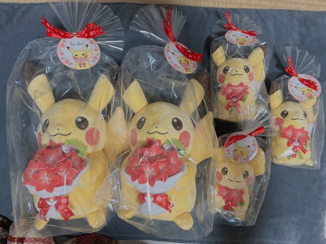 5点セット】ぬいぐるみFor You! ピカチュウとグラシデアのはな＆ブーケ