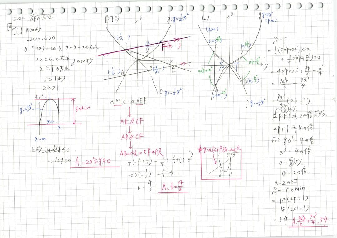 限定割引 塾講師オリジナル入試数学解説(全問動画付)都立国立過去問
