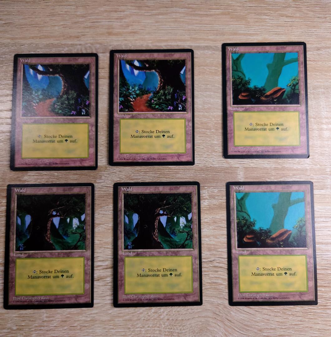 MTG FBB 3ED ドイツ語 基本土地40枚 - メルカリ