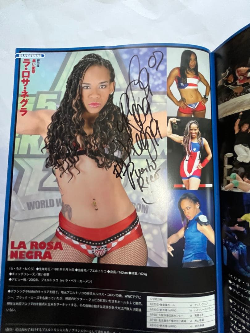 スターダム観戦ガイドブック 紫雷イオ、岩谷麻優、サンダーロック