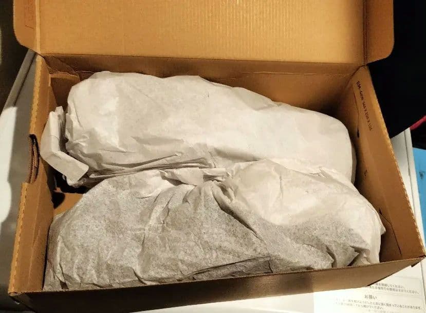 ミズノ　安全靴 ALMIGHTY LSⅡ 21L WIDE 28.0cm