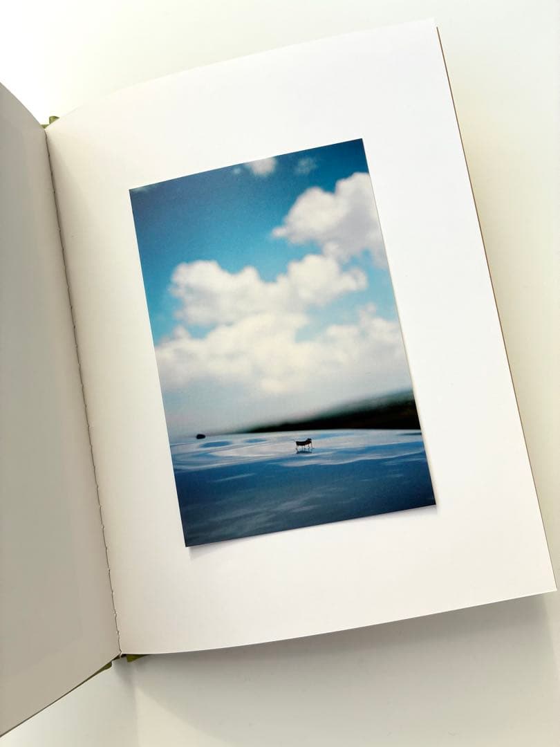 Terri Weifenbach写真集「Some Insects」花 空 虫 庭 - メルカリ