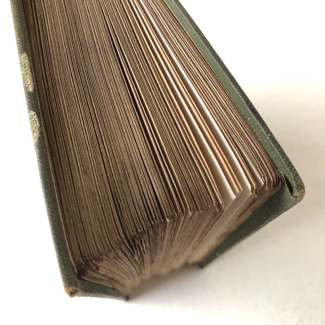 1900年代初期版！ イギリスの希少なアンティーク植物図鑑 花の図鑑