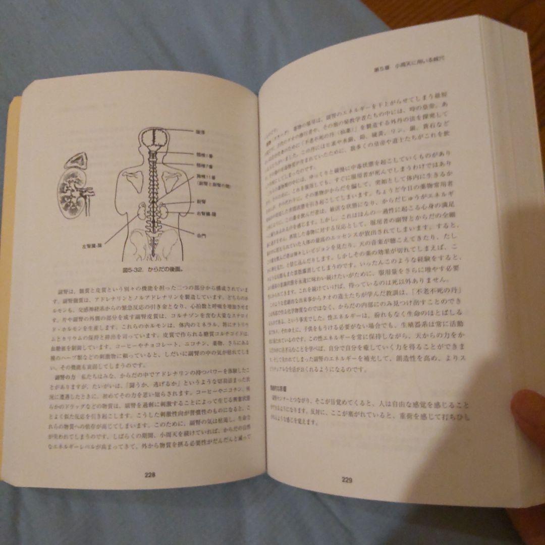 タオ人間医学〜天地と融合するヒーリング・サイエンス - メルカリ