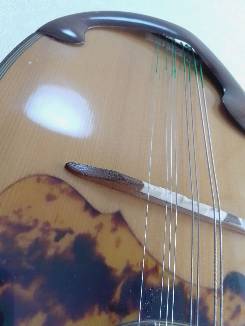 木曽鈴木 マンドリン M-50 石川捷二郎監修 ベネチア ハードケース付