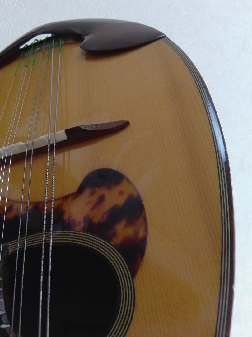 木曽鈴木 マンドリン M-50 石川捷二郎監修 ベネチア ハードケース付