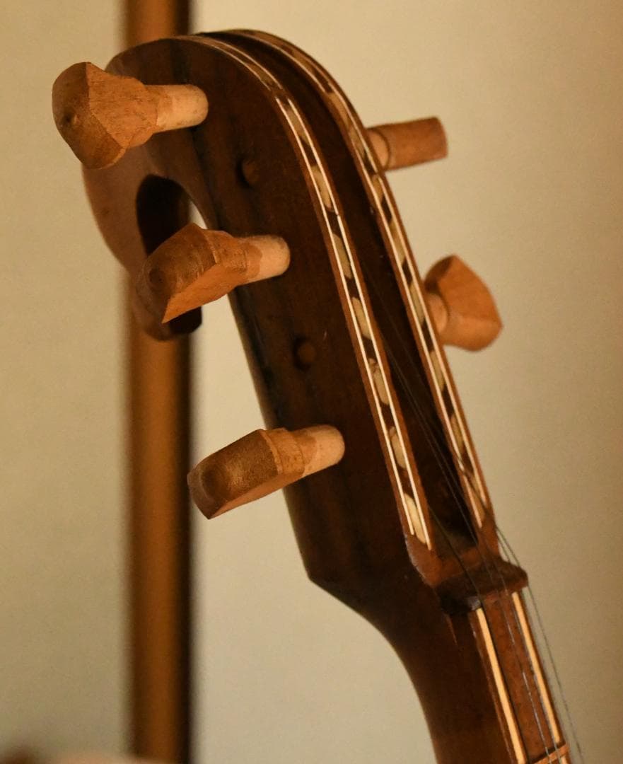 ウズベキスタンの民族弦楽器ラワープレワープ - メルカリ