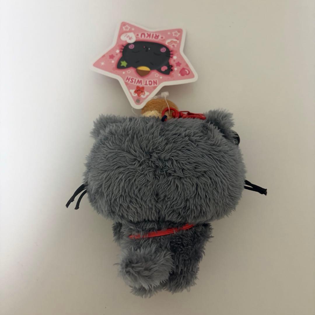 nctwish wishdoll リク ウィッシュドール クリ - メルカリ