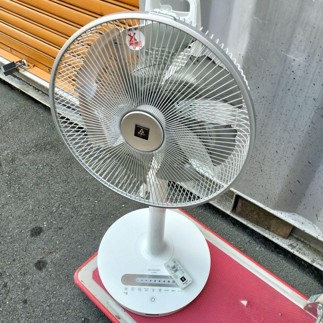 2022年製 SHARP ハイポジション リビングファン PJ-P3DG-W シャープ PJ-P3DG ハイポジション・リビングファン プラズマクラスター
