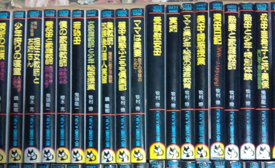 官能小説まとめ売り　計８５冊