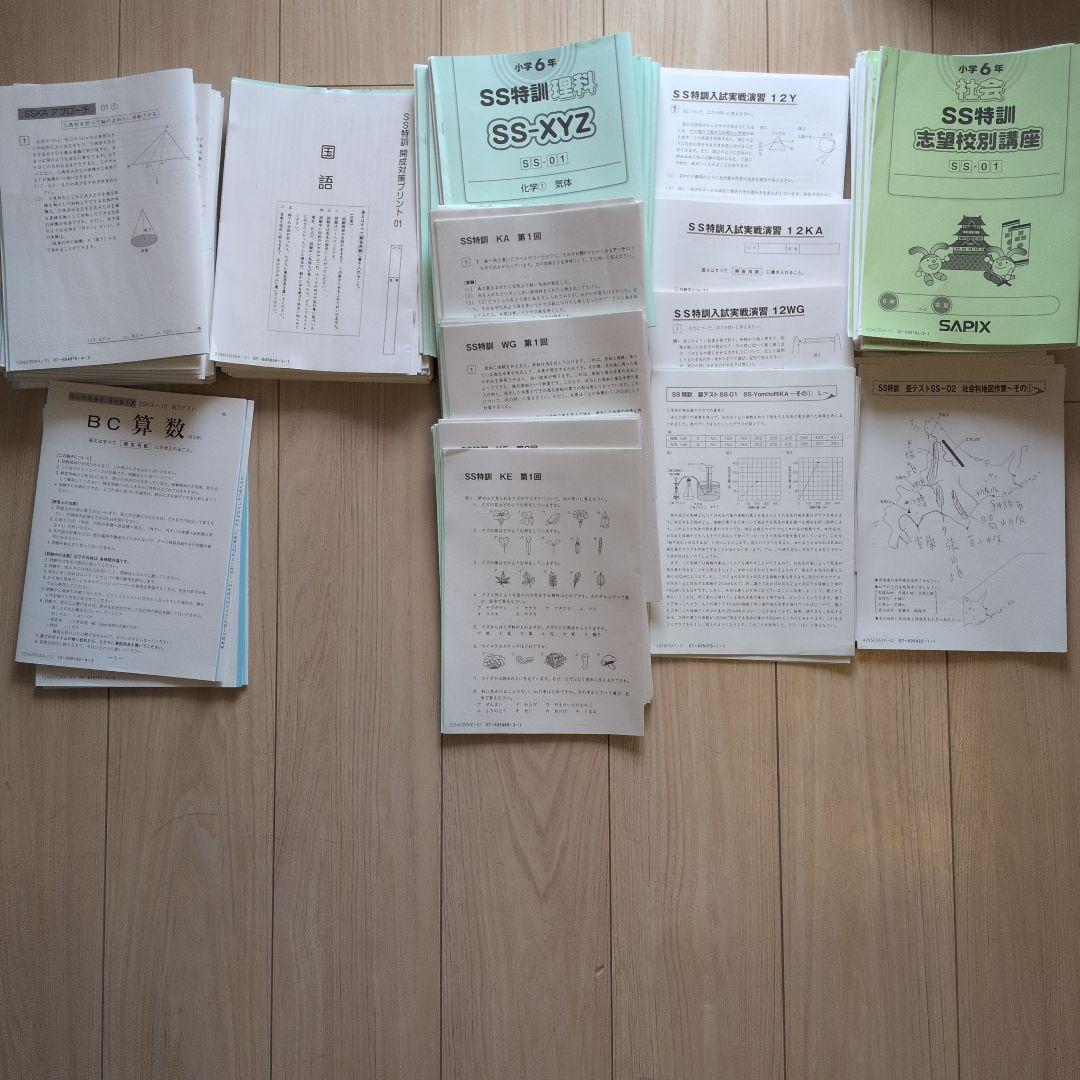 Sunday Sapix 2025年度 6年生 セット 2025年度SAPIX 6年生 テスト問題集 - メルカリ