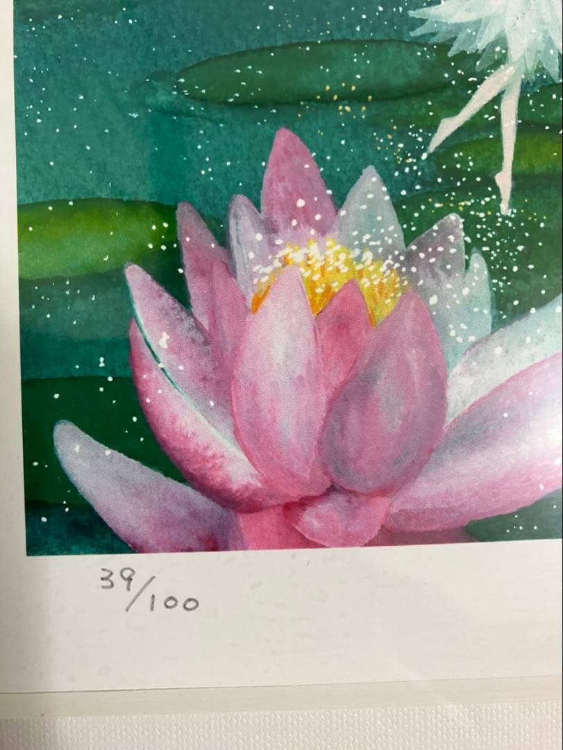 横山真弥　睡蓮…妖精たちとおやゆびひめ