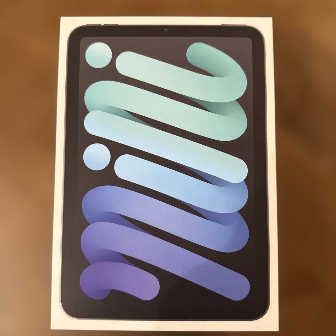 iPad mini (第7世代) スペースグレー　256GB 第7世代 Apple iPad mini スペースグレー 本体 Wi-Fi Apple iPad mini