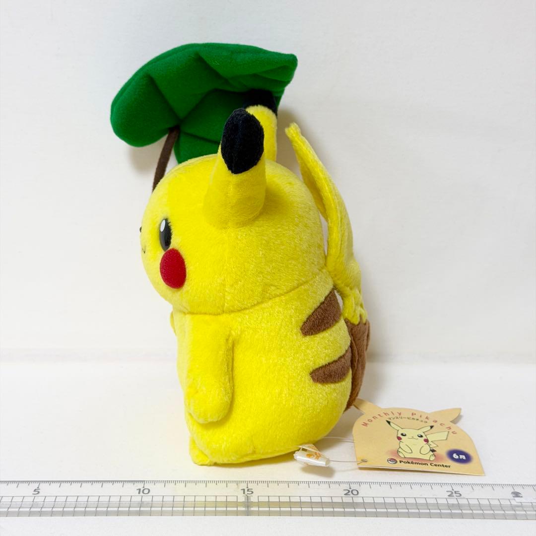 マンスリーピカチュウ 2005年6月ポケモンセンター限定 ポワルン