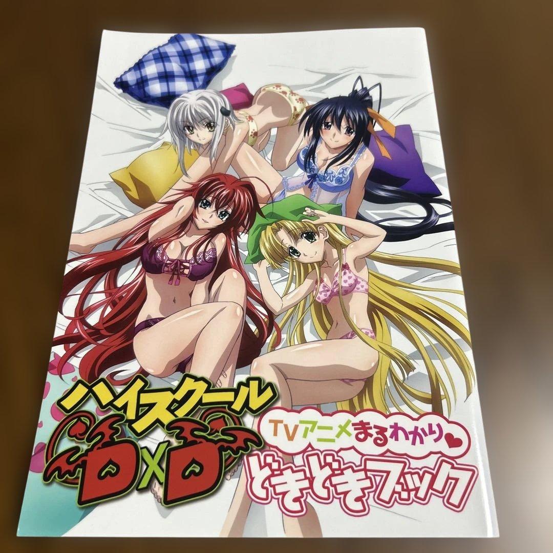 ハイスクールD×D TVアニメまるわかり　どきどきブック【非売品】 ハイスクールD×D」シリーズが全世界累計発行部数780万部突破！ 待望の