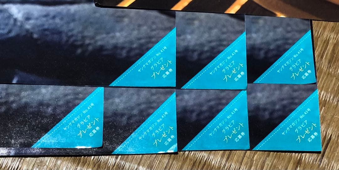 ヤングマガジン☆抽プレ懸賞応募券7枚☆Pyuna 中村みずき直筆サイン