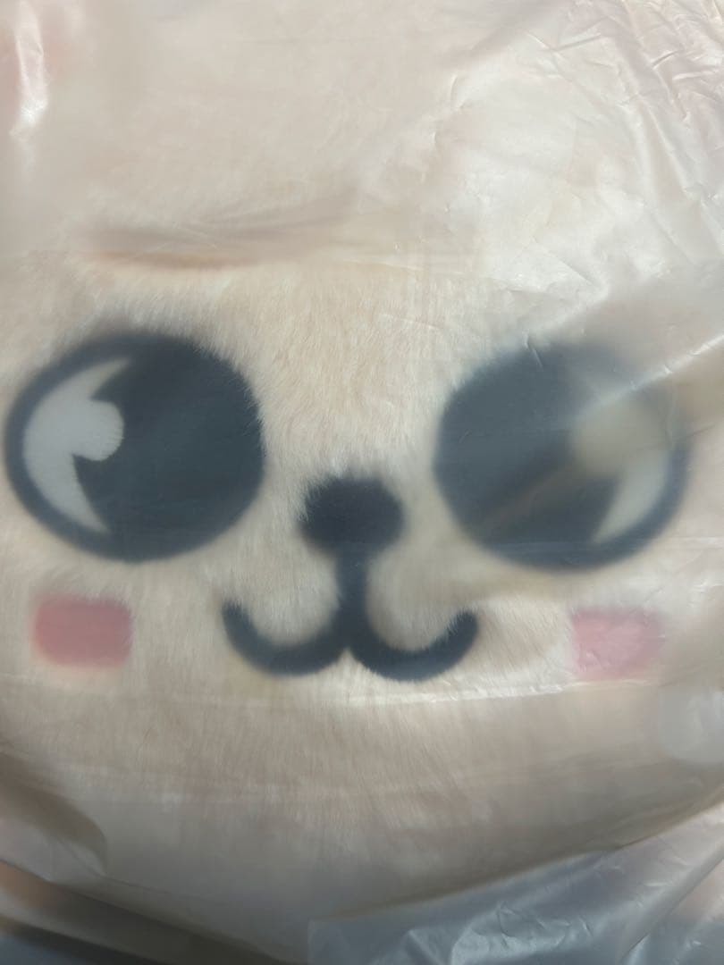 StrayKids スンミン メンプロ パピーム straykids スキズ ポップアップ パピーム【新品未開封】特典トレカ