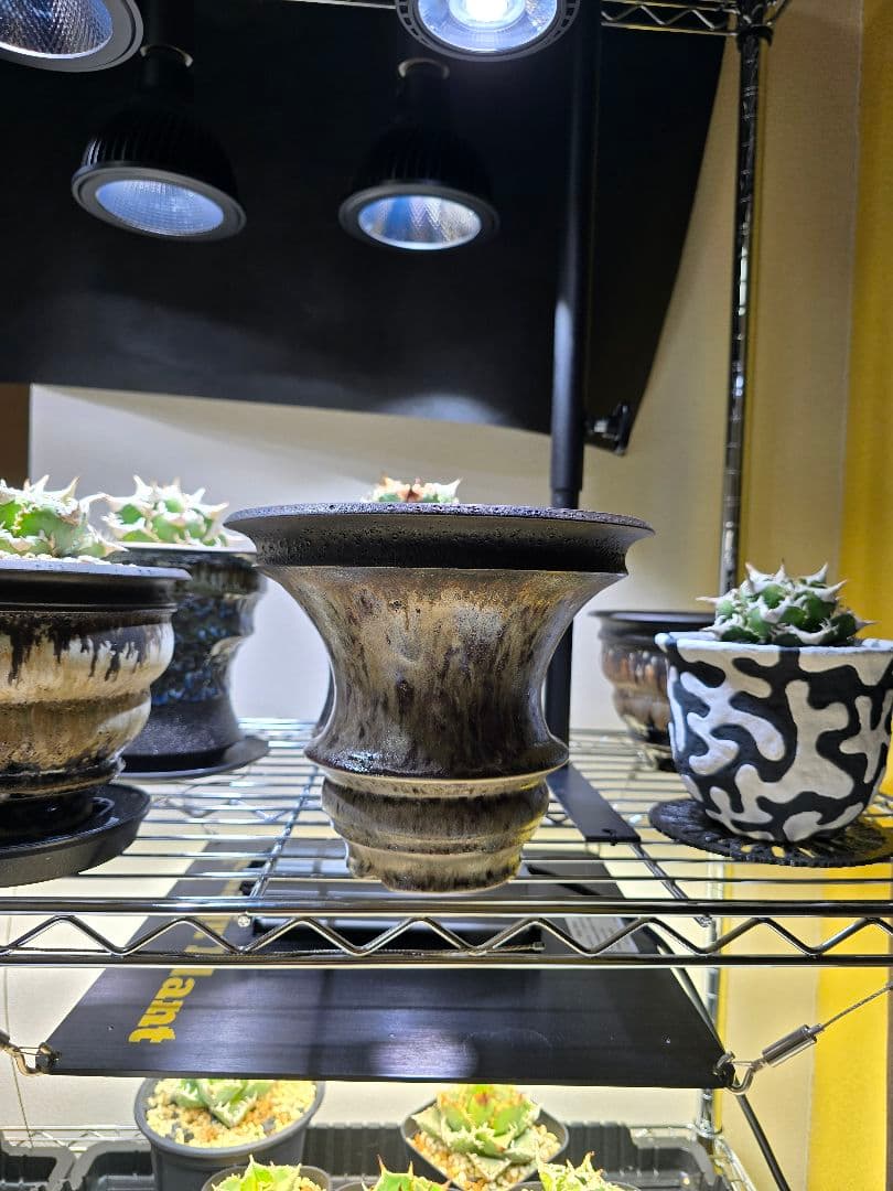 カタチ製作所 Mederu pot Dripper XL - メルカリ