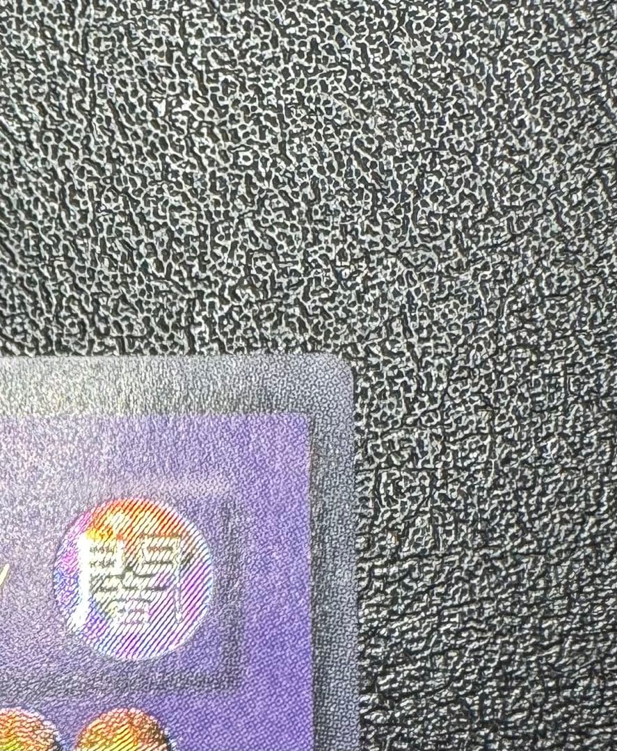 超魔導剣士ブラックパラディン/魔法使い族/ 遊戯王カード/レリーフ