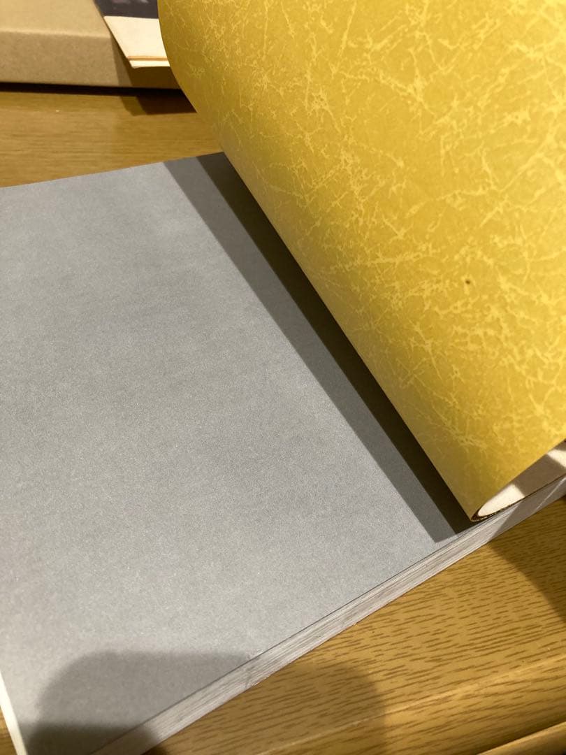 【中古】曼陀羅図鑑 原芳市 初版 写真集