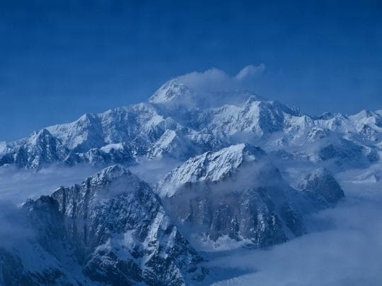 『予約品』ローズクォーツ(7.5ml) アラスカンエッセンス　フラワーエッセンス