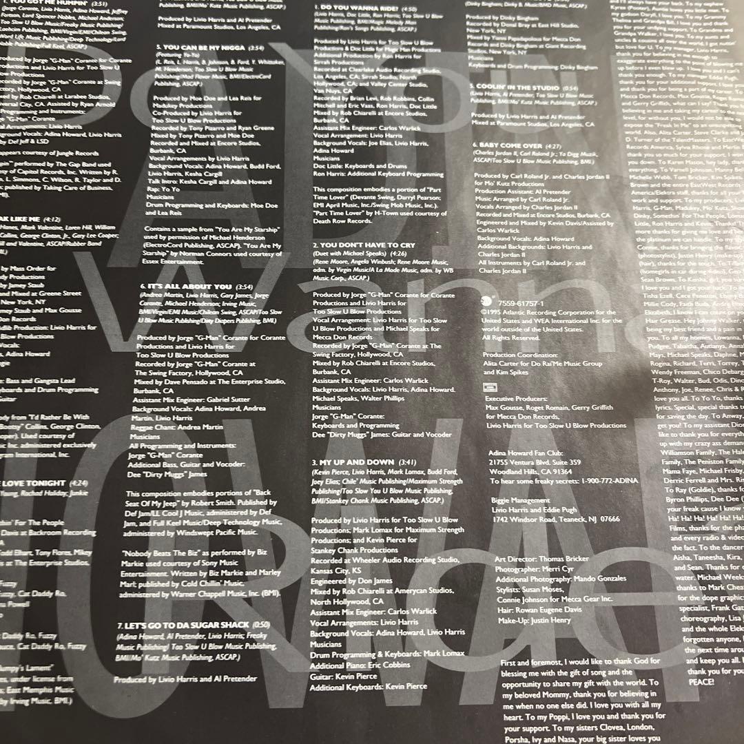 Adina Howard LP Do You Wanna Ride ? ドイツ盤 - 洋楽お 手頃 価格