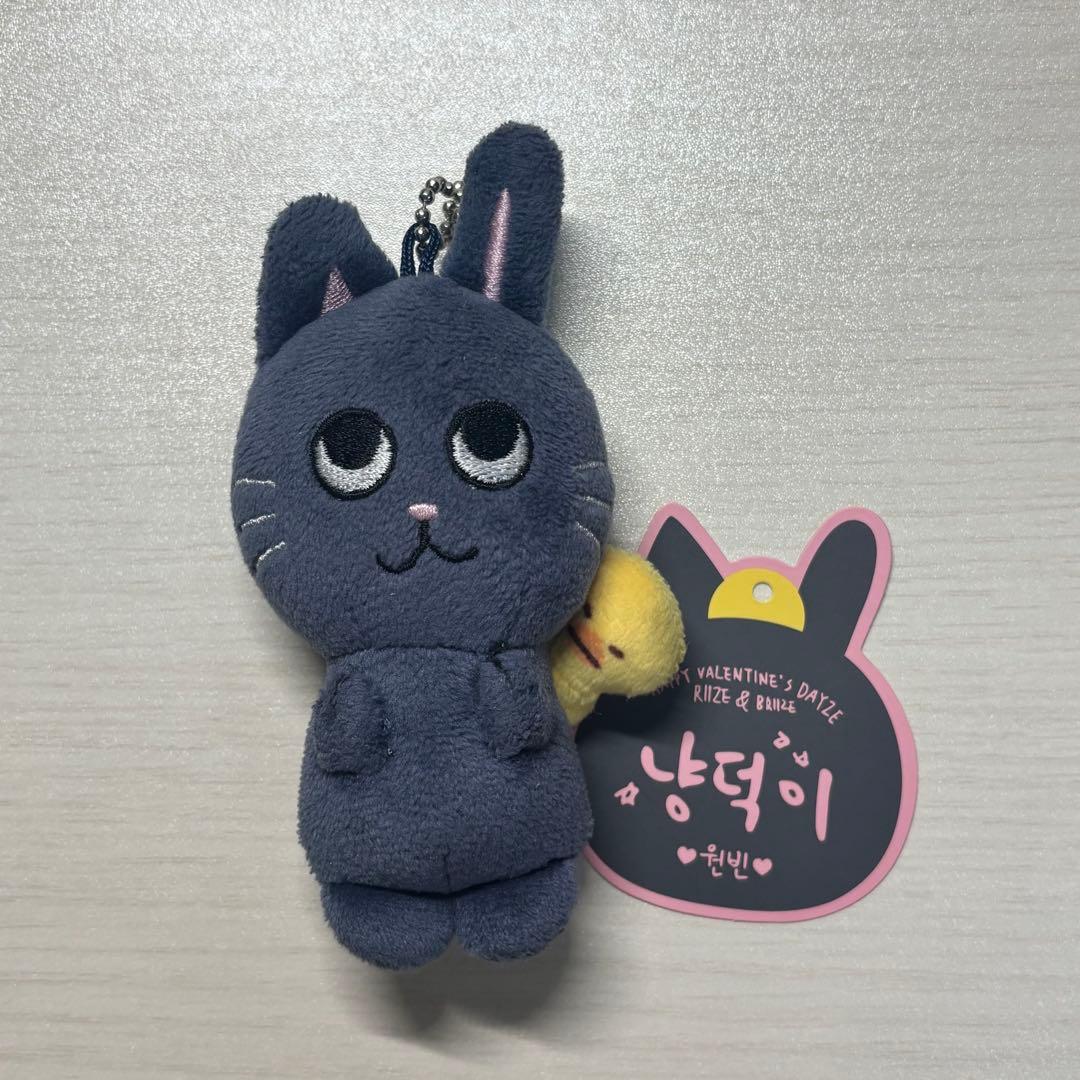 RIIZE ライズ ウォンビン ドールキーリング ぬいぐるみ トニャンドク