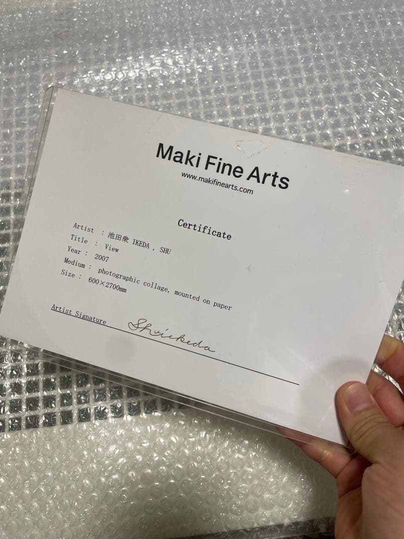 池田衆 Shu Ikeda「View」2007年 3枚組 大型連作 現代アート - メルカリ