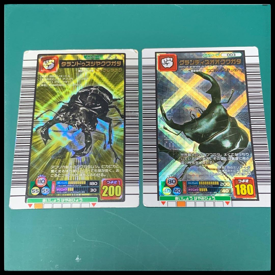 ムシキングカード タランドゥスツヤクワガタ・グランディス