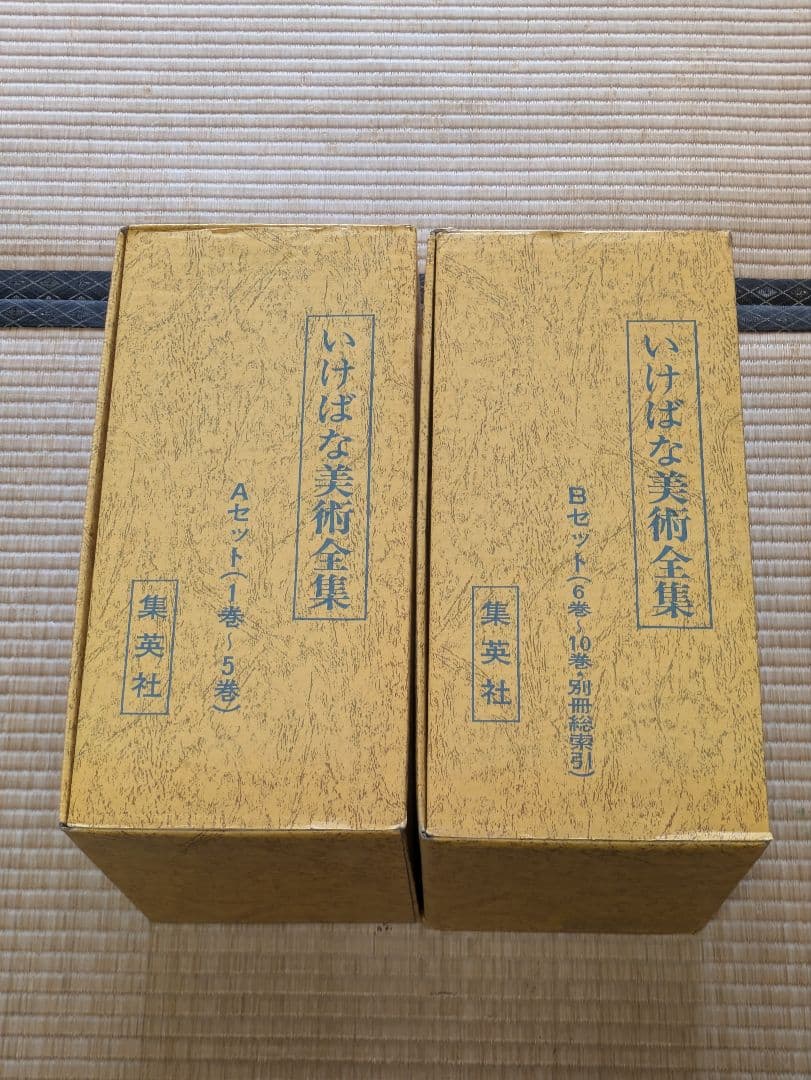 いけばな美術全集 全10巻 別冊索引付き 集英社 名作挿絵全集 全10巻 時代小説/少年少女/戦争小説/推理怪奇小説/7冊帯