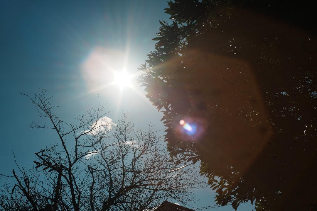 この値段でライカ級】富岡光学製 XR RIKENON 50mm F2 269