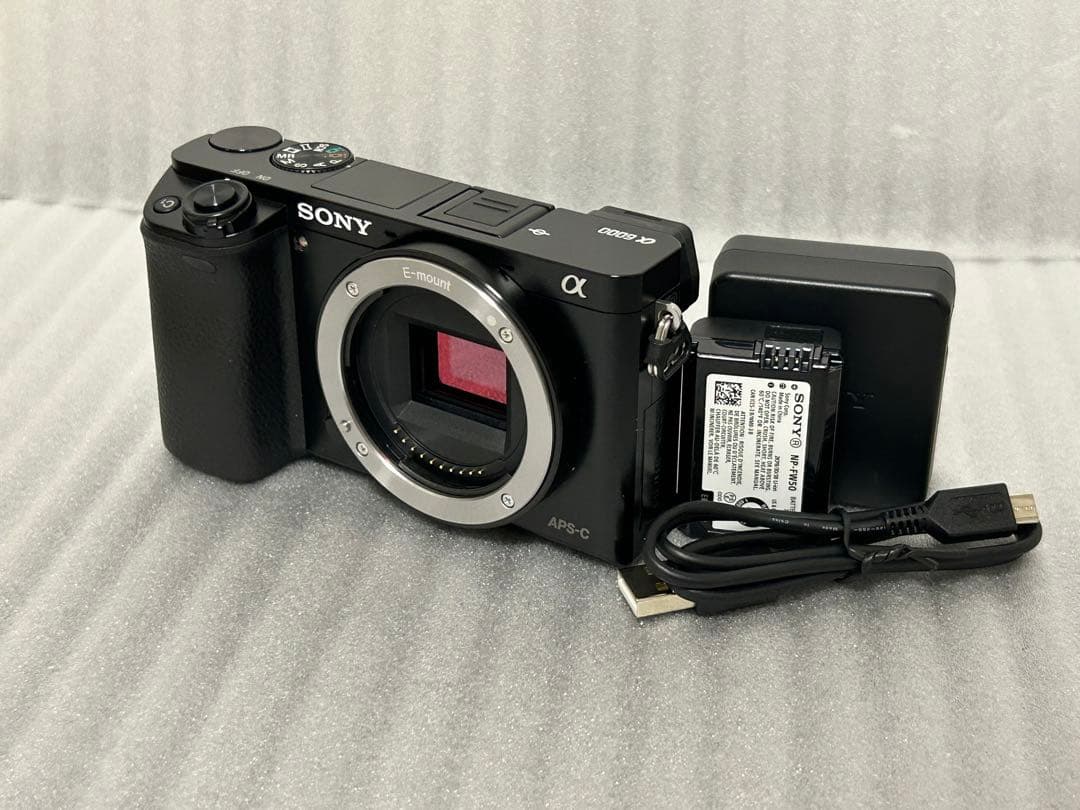 SONY α6000 ボディ 194 Amazon.com : Sony Alpha a6000 Mirrorless Digital Camera with 16-50