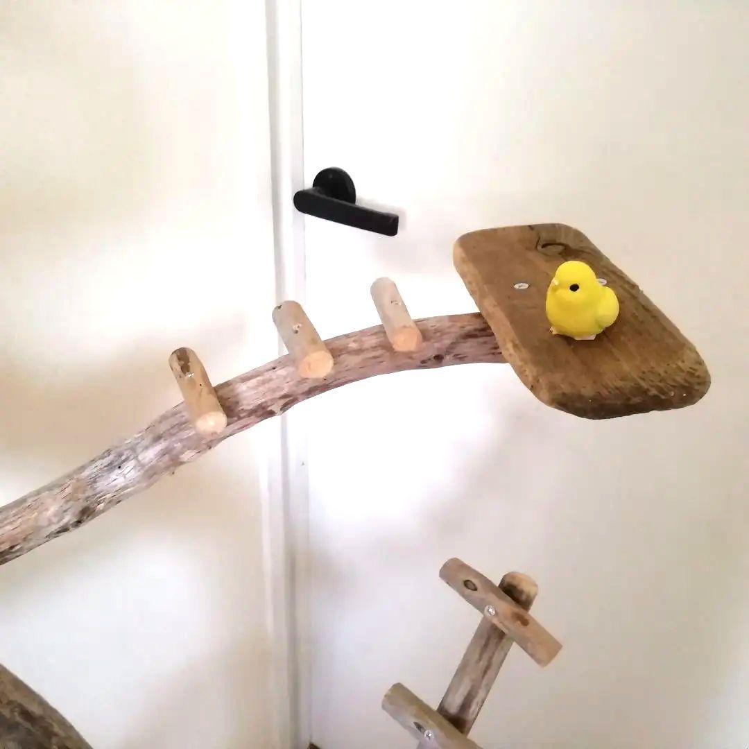 バードアスレチックジム㉚ 天然木 自然木 流木 止まり木 インコ遊び場