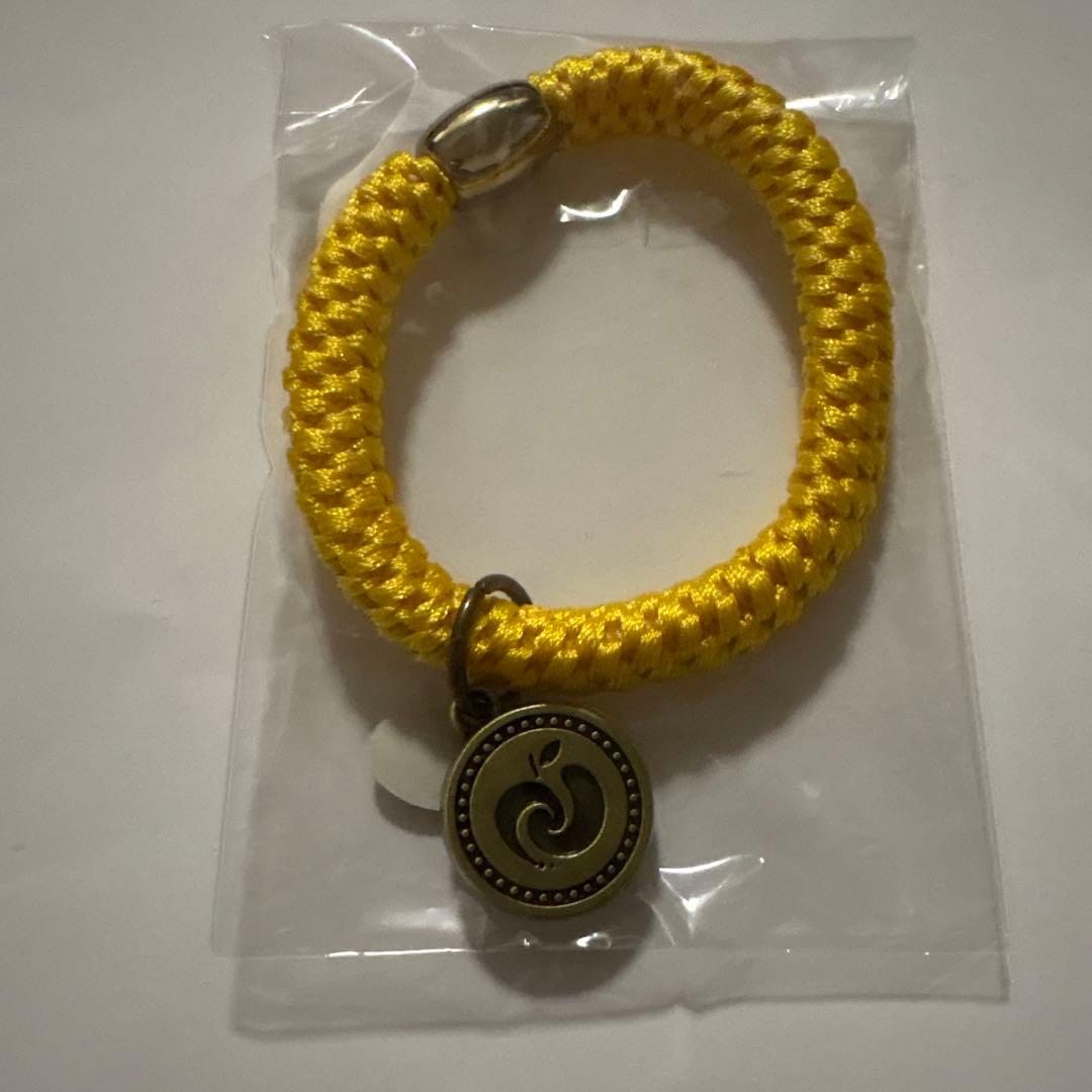 ミセスグリーンアップルバベルの塔黄色いナイロンブレスレット メダル