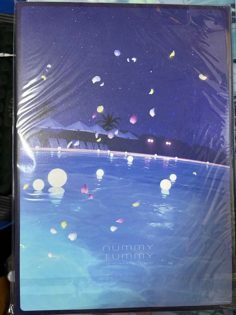 mignon画集　NUMMYTUMMY