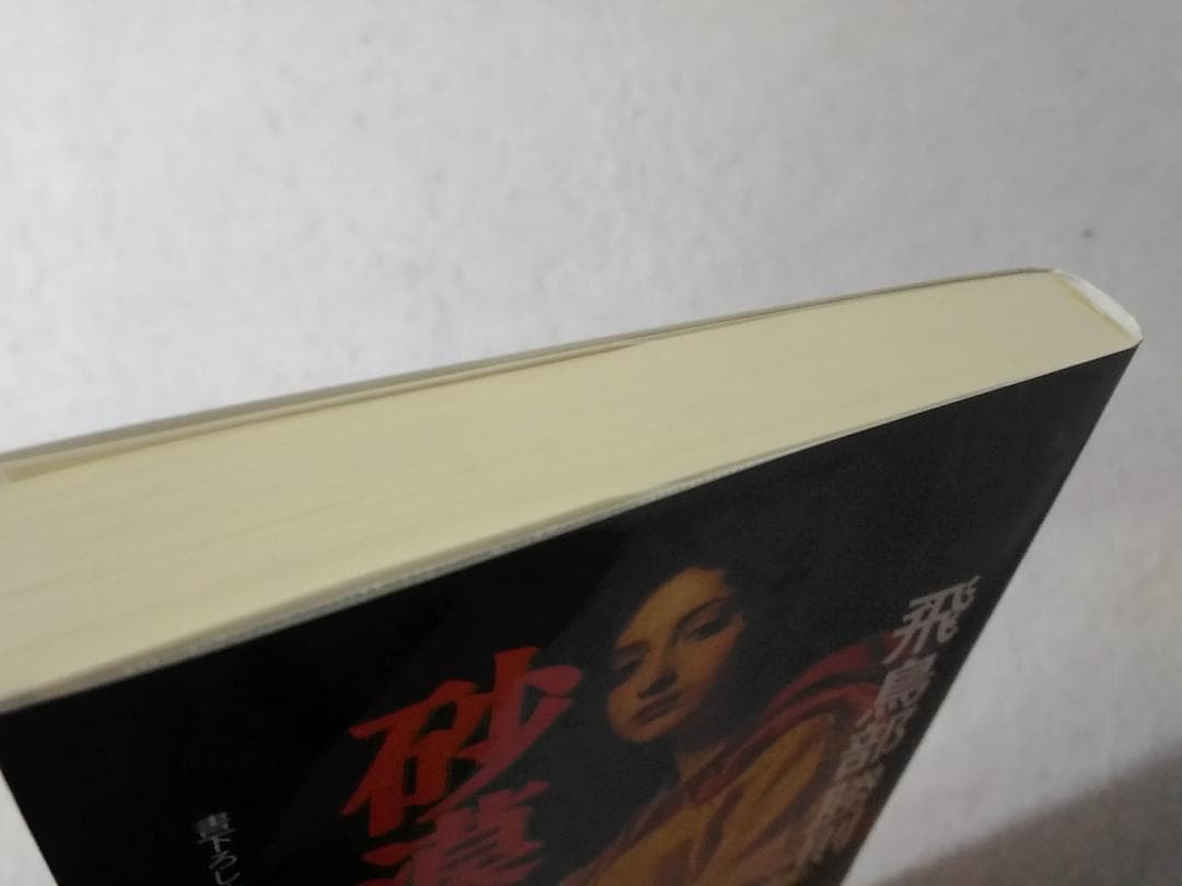 砂漠の薔薇 カッパノベルス 新書 飛鳥部勝則 書下ろし長編推理小説