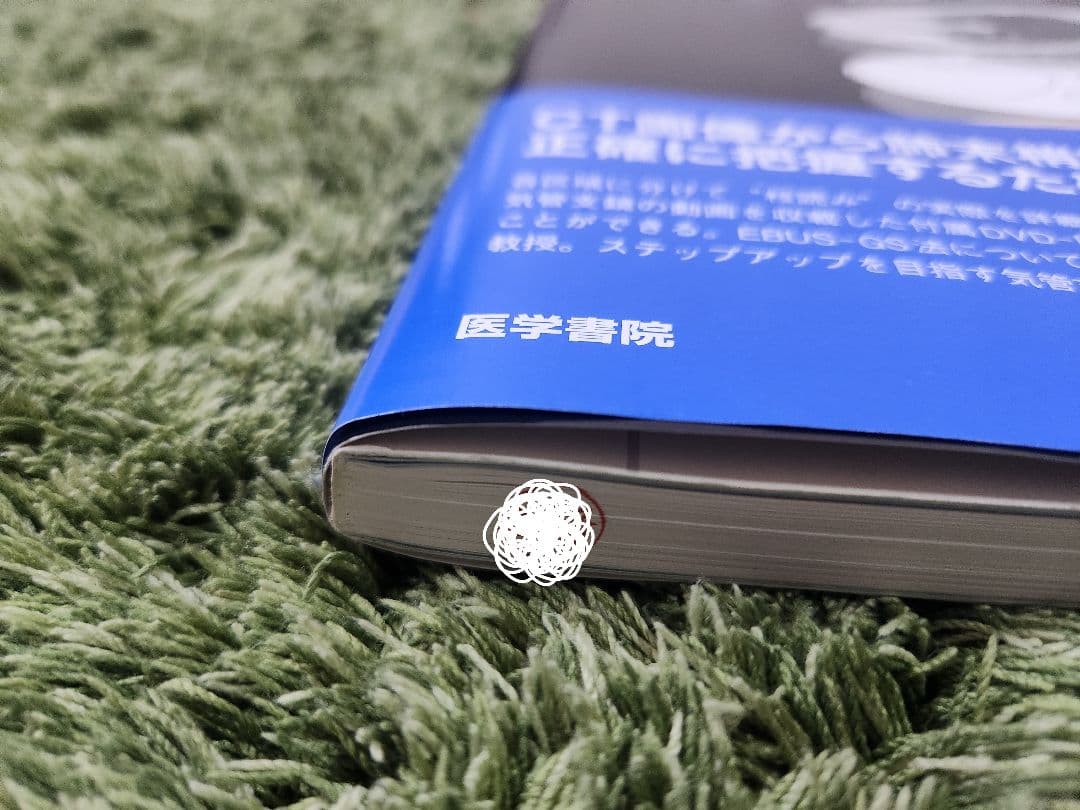 気管支鏡\"枝読み\"術 DVD-ROM付き