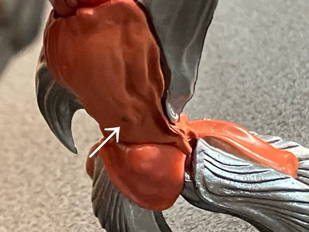 k*u様 S.H.MonsterArts イリス 『ガメラ3邪神＜イリス＞覚醒』