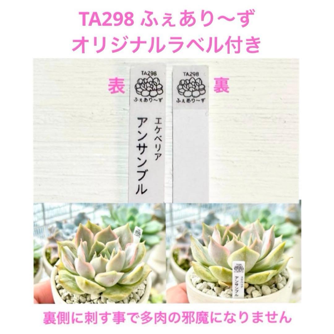 夏樹@セール中♪