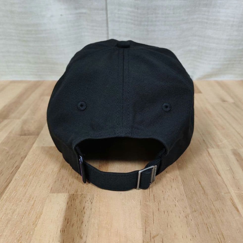 パタゴニア タイル トポ トラッドキャップ ニューヨークシティ 限定