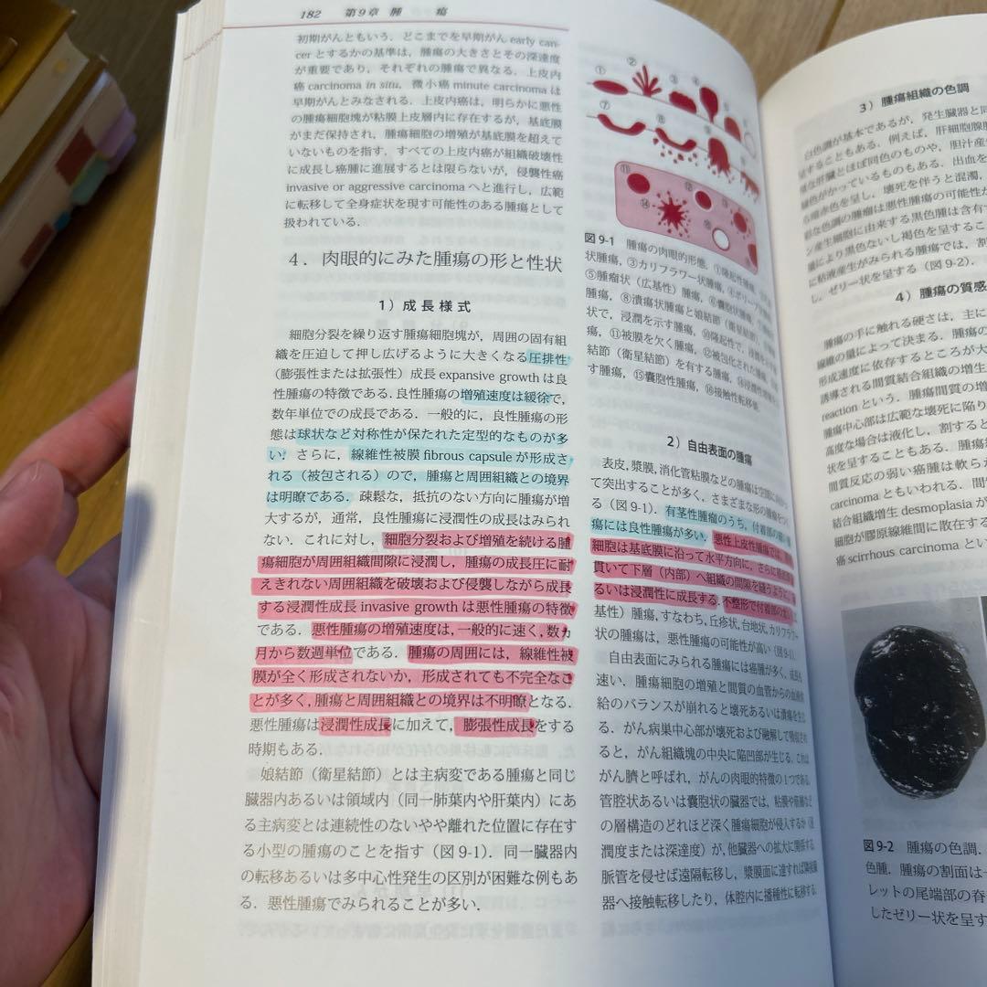 動物病理学総論 第4版 - メルカリ