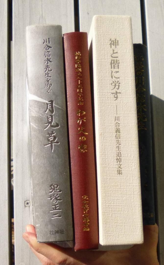 【入手困難】川合信水 　全11冊　論語教話　川合山月 肥田春充　儒教　新井奥邃