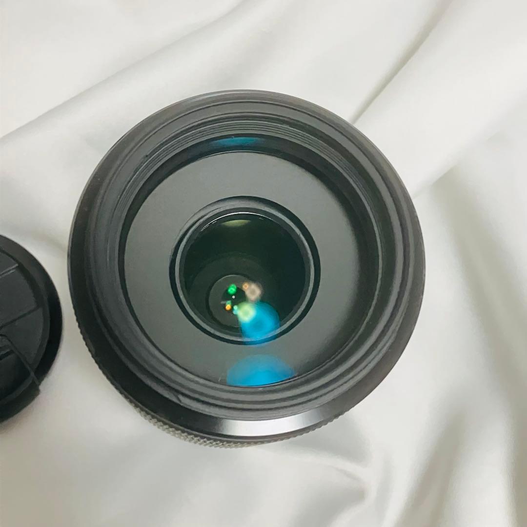 SONY レンズ DT 55-300mm F4.5-5.6 SAL55300